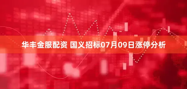 华丰金服配资 国义招标07月09日涨停分析