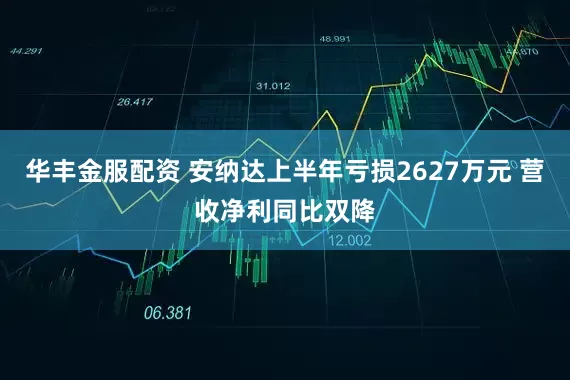 华丰金服配资 安纳达上半年亏损2627万元 营收净利同比双降